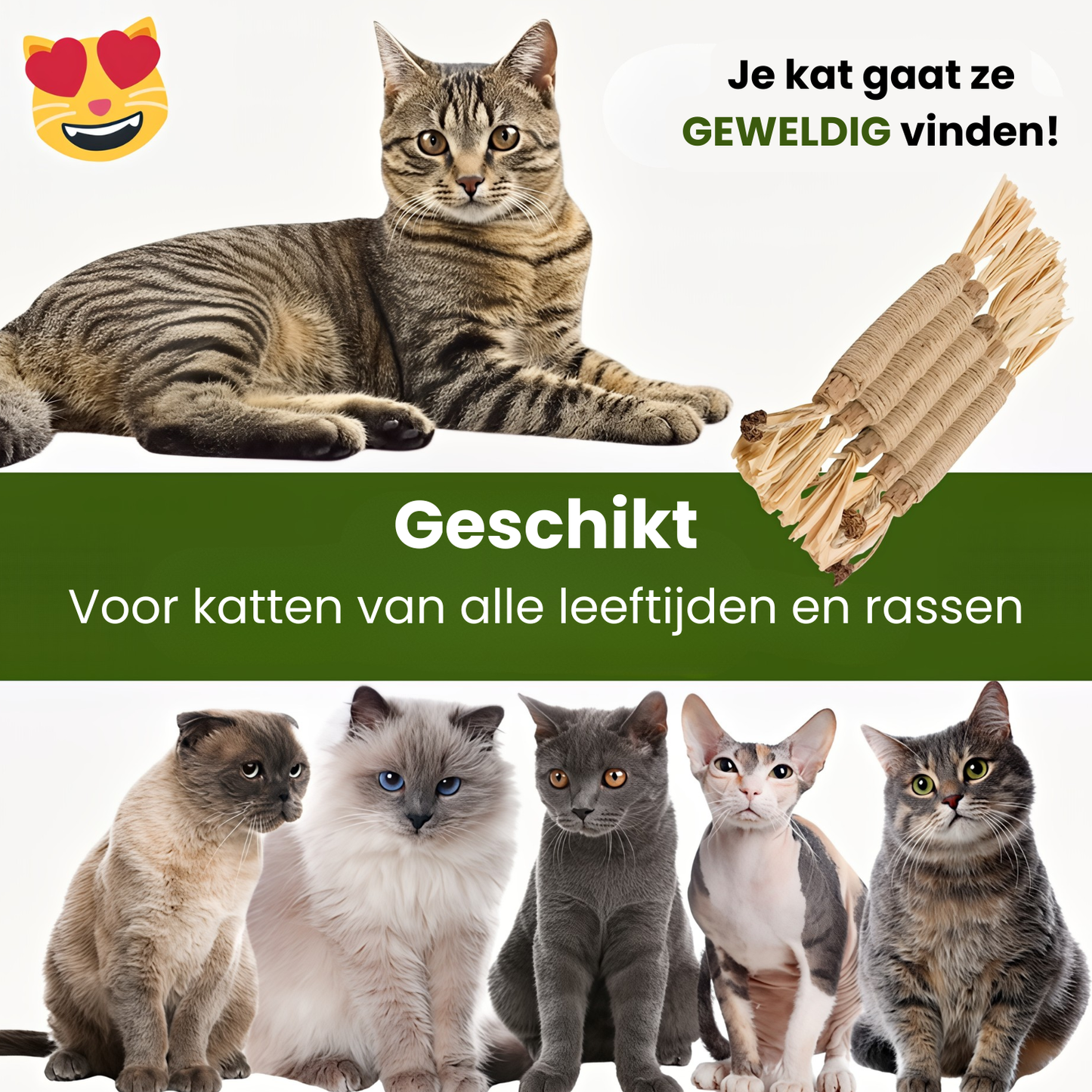 Furliq Natuurlijke Silvervine Tandsticks