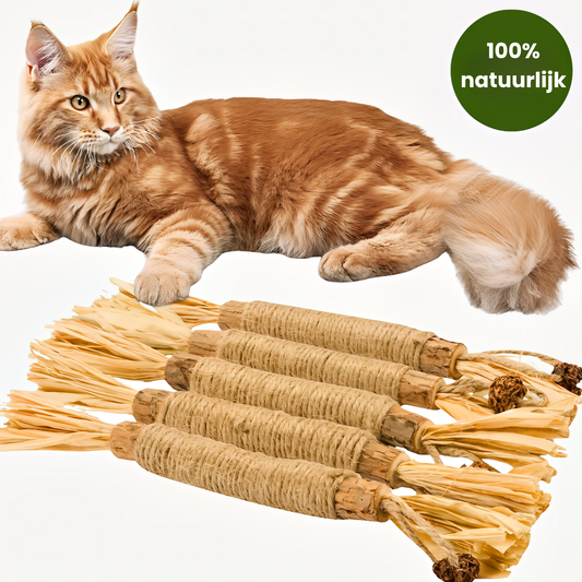 Furliq natuurlijke Silvervine Tandsticks