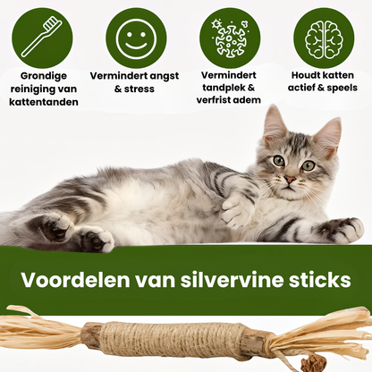 Furliq Natuurlijke Silvervine Tandsticks